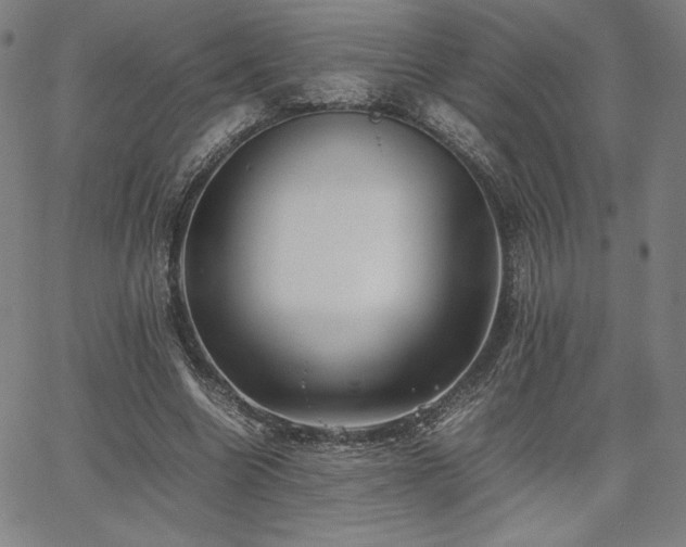 X0000067850538200604131253