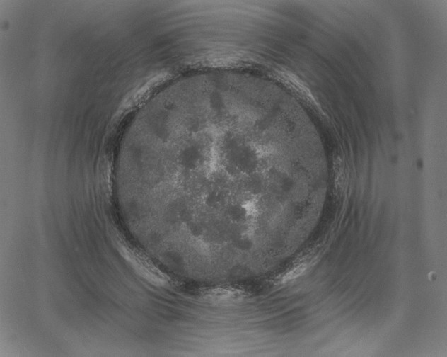 X0000067850542200604131253