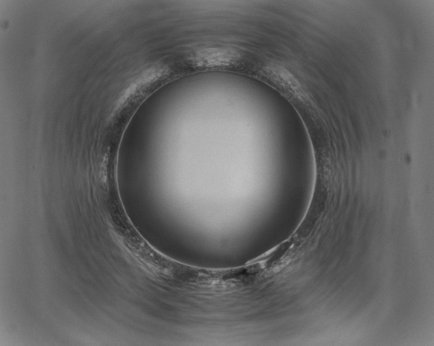 X0000067850543200604131253