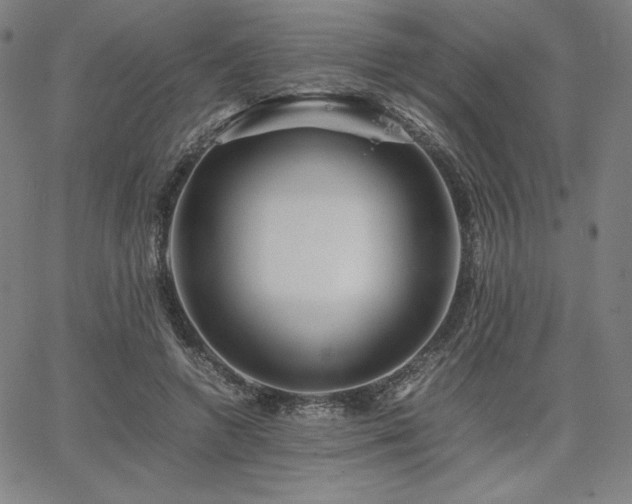 X0000067850546200604131254
