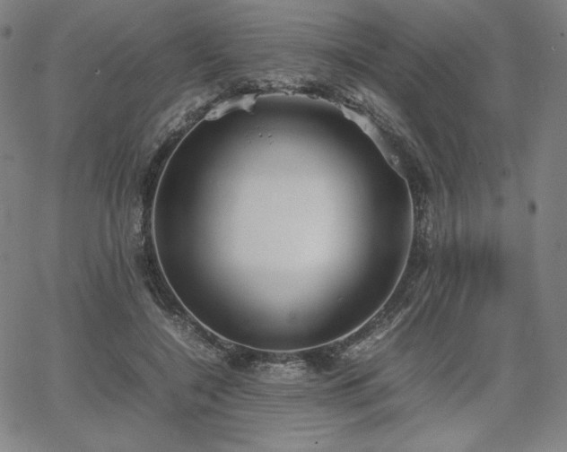 X0000067850548200604131254