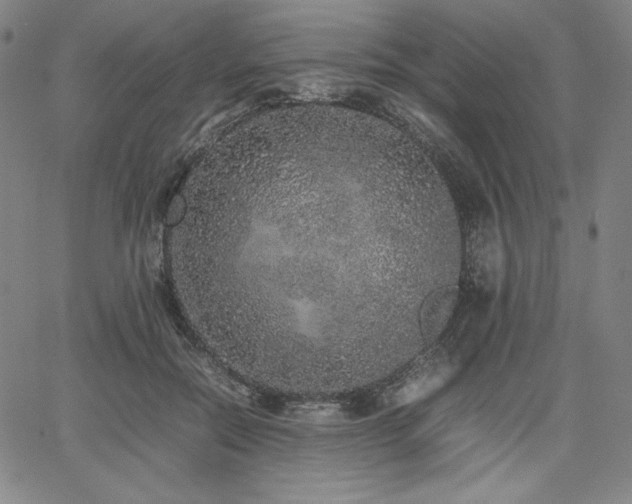 X0000067850554200604131254