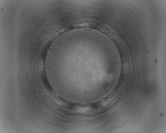X0000067850555200604131254