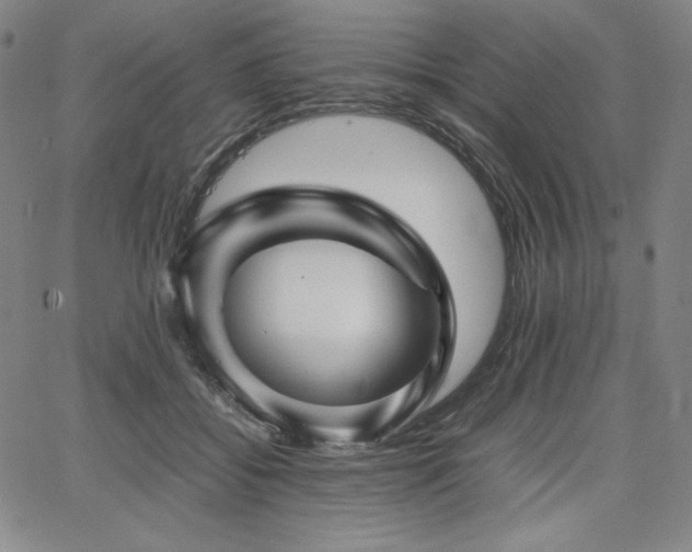X0000067850556200604131254