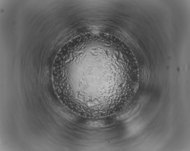 X0000067850557200604131254