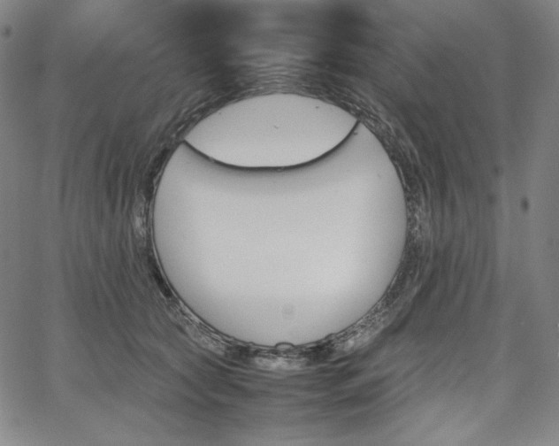 X0000067850561200604131254