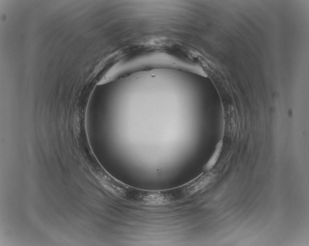 X0000067850562200604131254