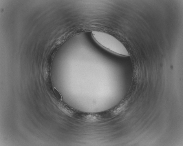 X0000067850566200604131254