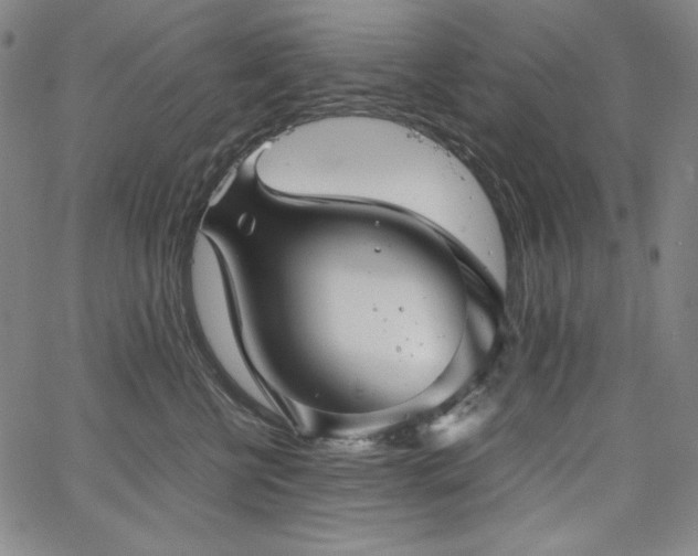 X0000067850570200604131254