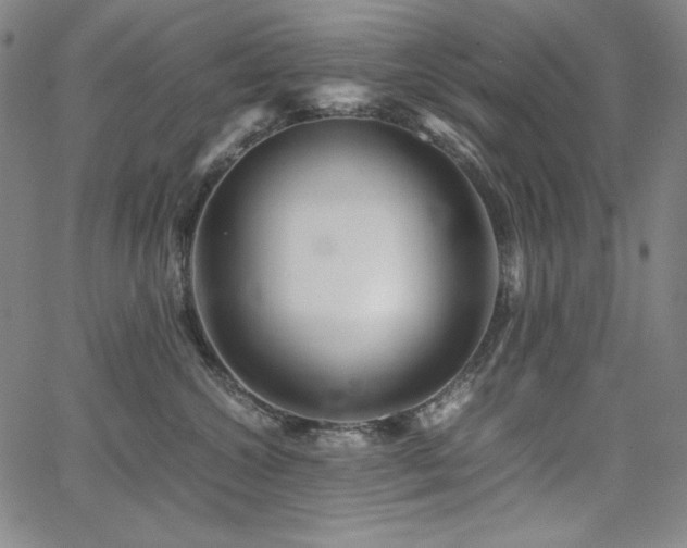 X0000067850572200604131254