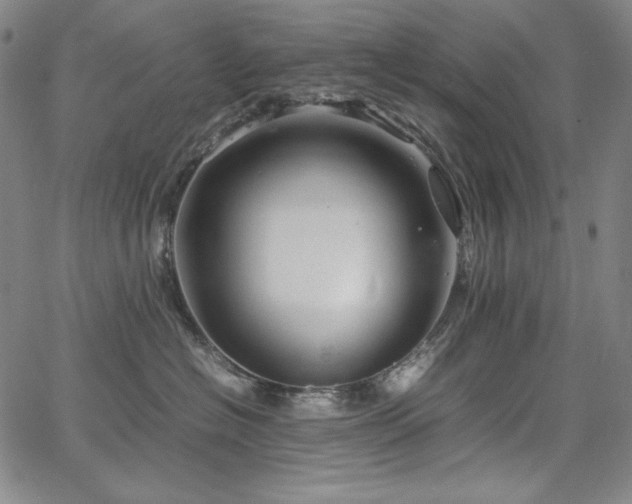 X0000067850574200604131254