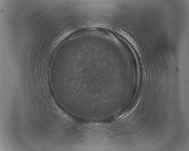 X0000067850577200604131253