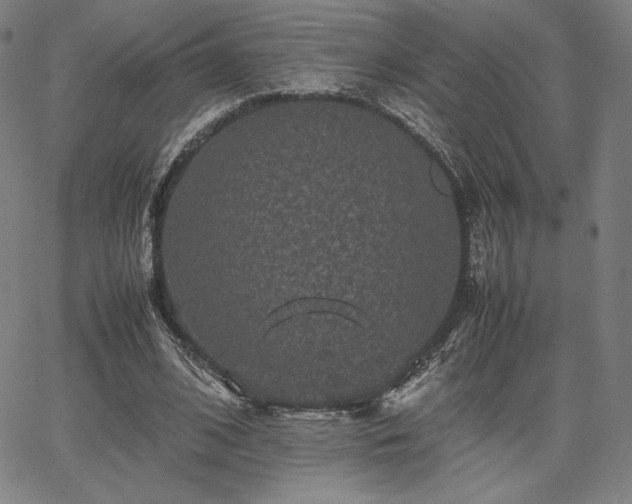 X0000067850584200604131253