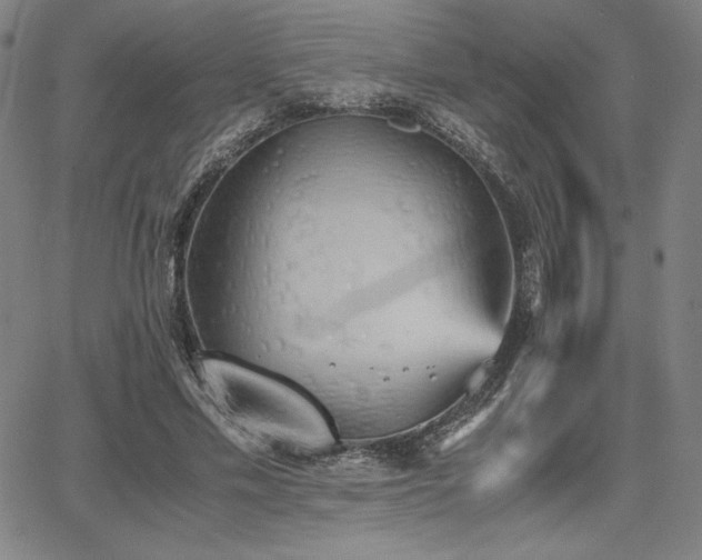 X0000067850589200604131253
