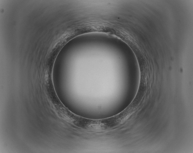 X0000067850595200604131253