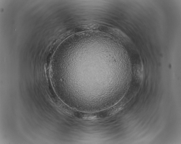 X0000067850602200604131253