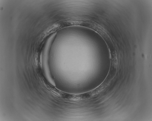 X0000067850604200604131253
