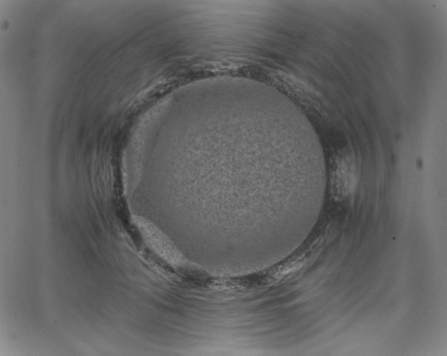 X0000067850608200604131253