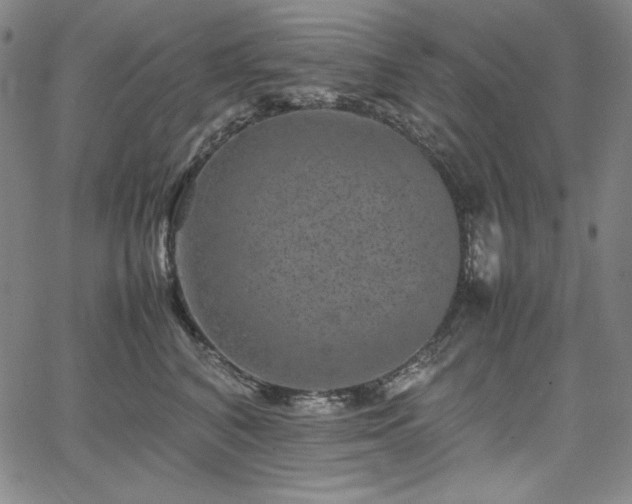 X0000067850616200604131253