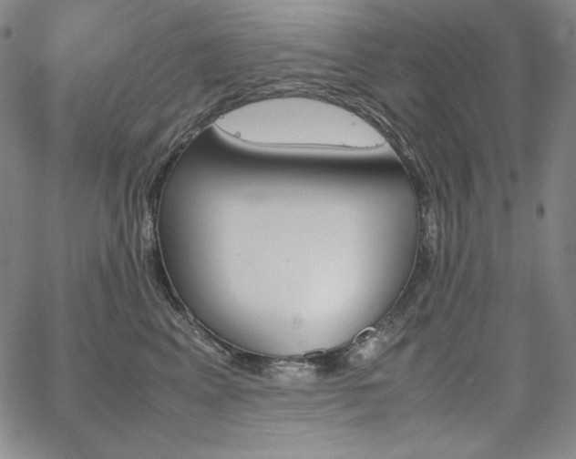 X0000067850617200604131253