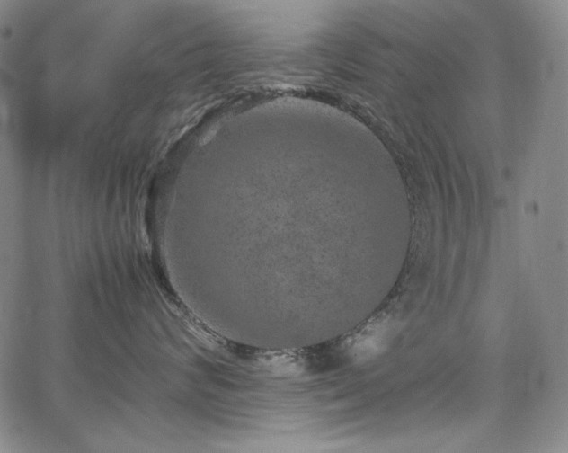 X0000067850624200604131252