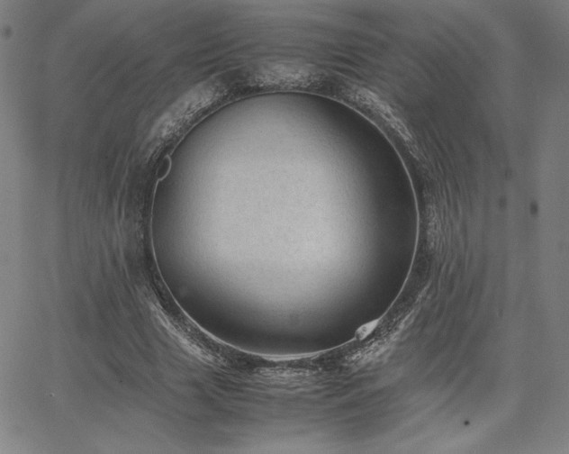 X0000067850633200604131252