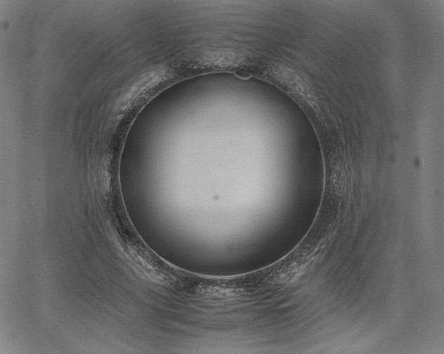 X0000067850635200604131252