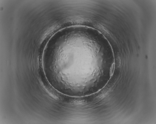 X0000067850638200604131252