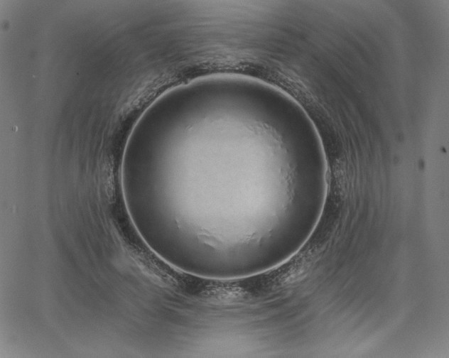 X0000067850642200604131252
