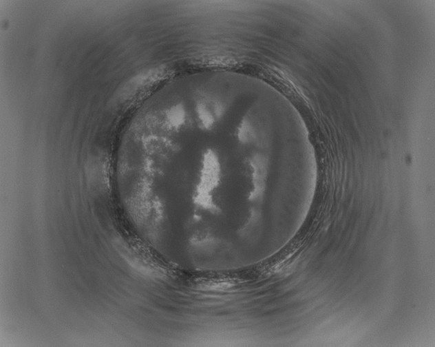 X0000067850643200604131252