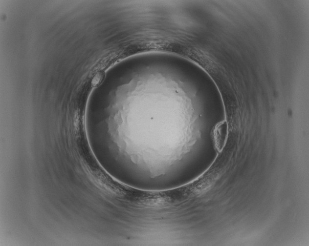 X0000067850646200604131252