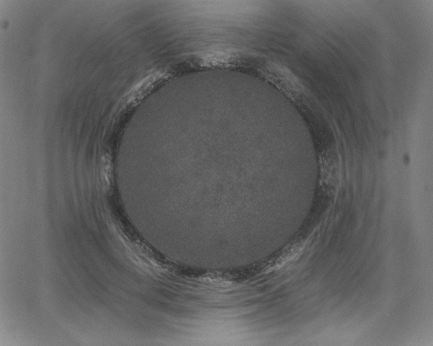 X0000067850648200604131252