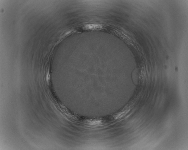 X0000067850651200604131252