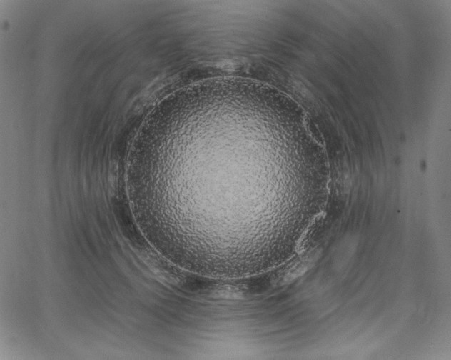 X0000067850656200604131252