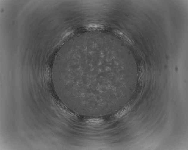 X0000067850659200604131252