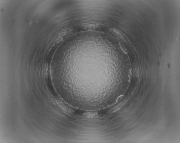 X0000067850660200604131252