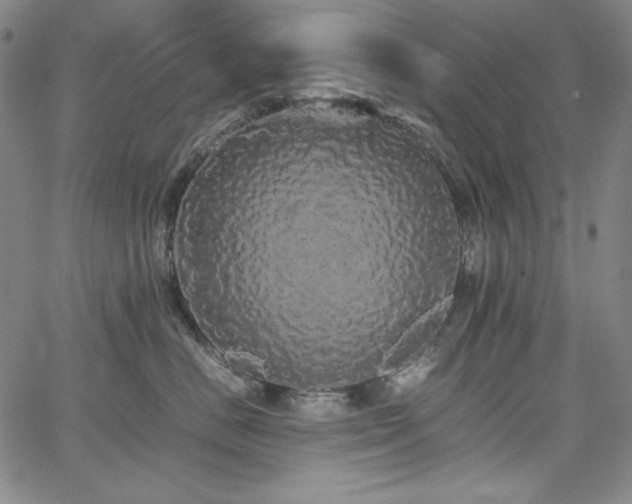 X0000067850670200604131252