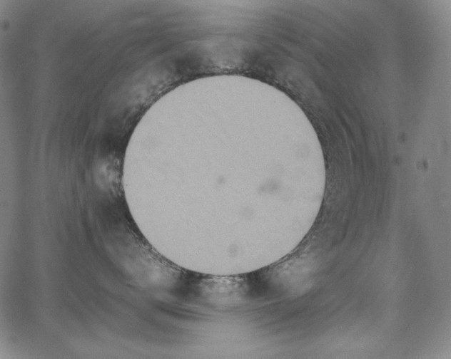 X0000067850672200604131252