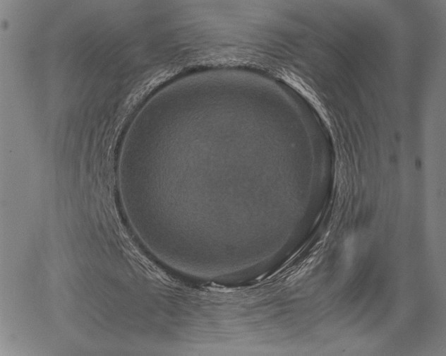 X0000067850673200604131252