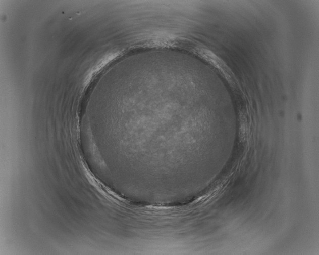 X0000067850677200604131252
