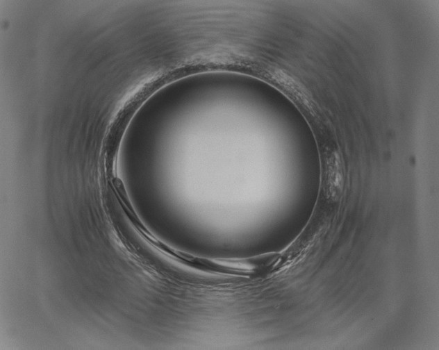 X0000067850680200604131252