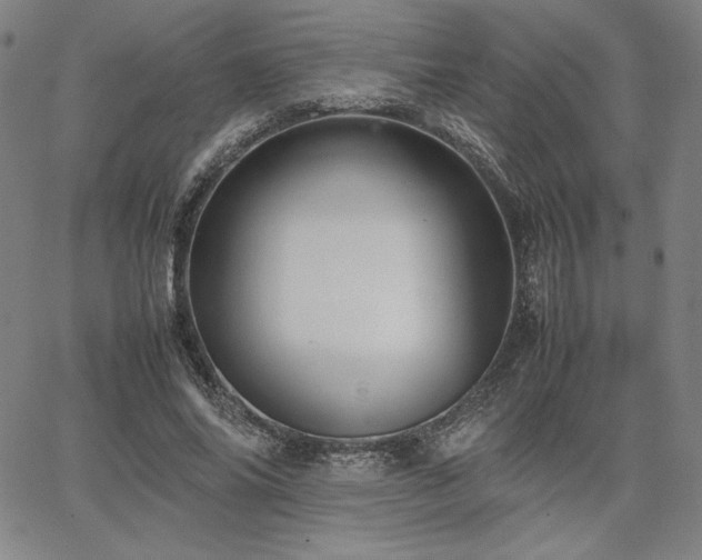 X0000067850686200604131251