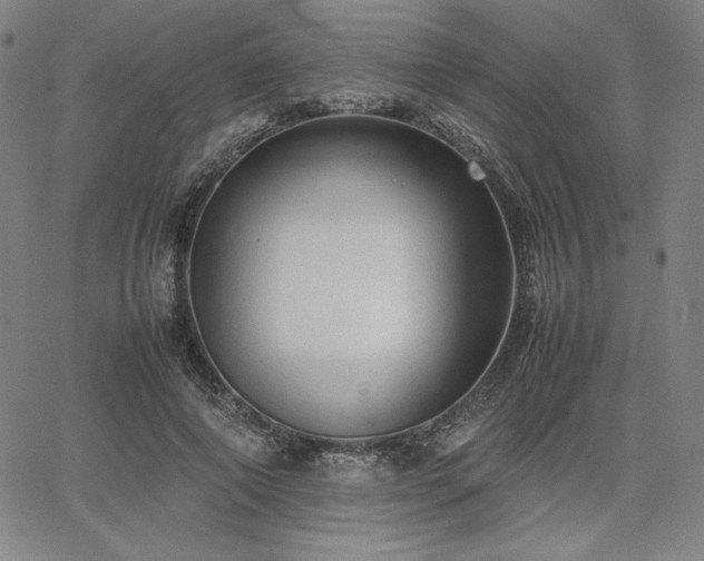 X0000067850690200604131251