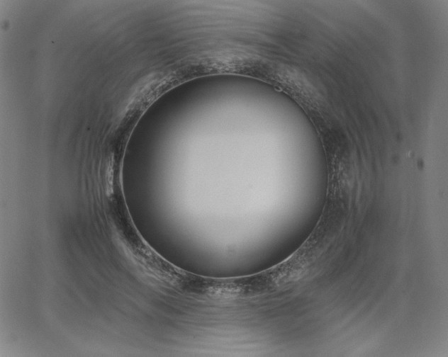 X0000067850694200604131251