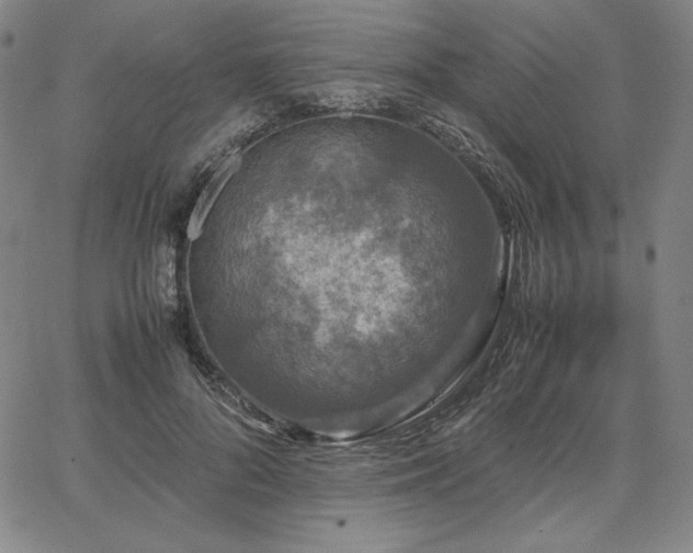 X0000067850696200604131251