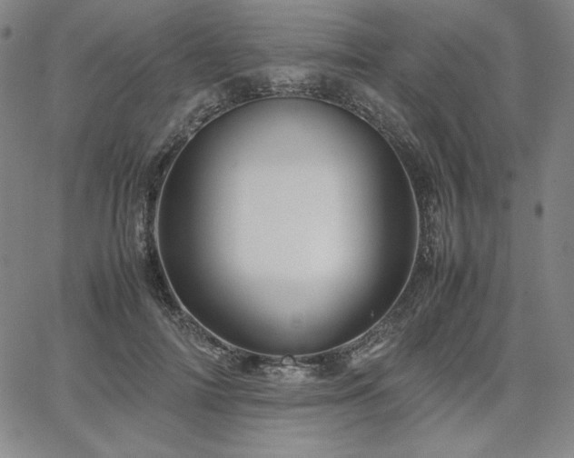 X0000067850698200604131251