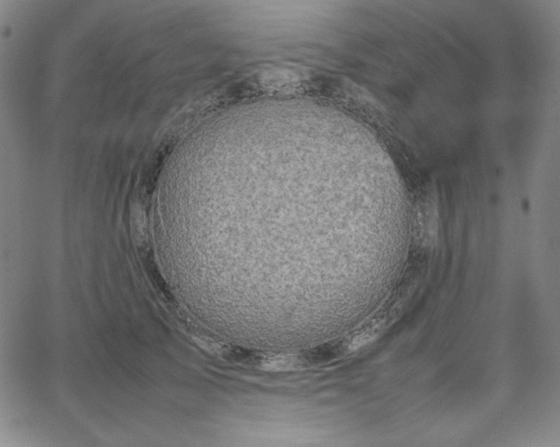 X0000067850705200604131251