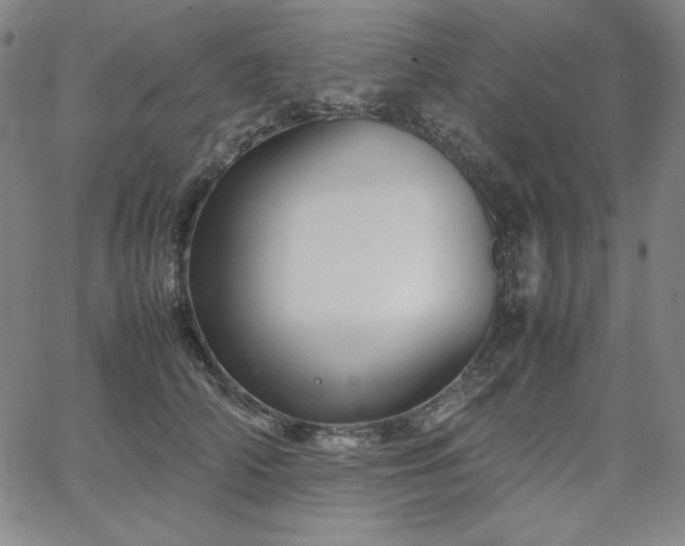 X0000067850706200604131251