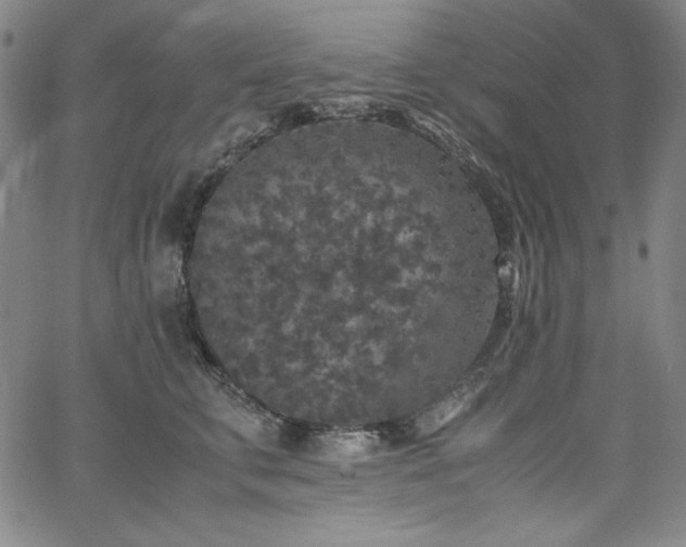 X0000067850711200604131251