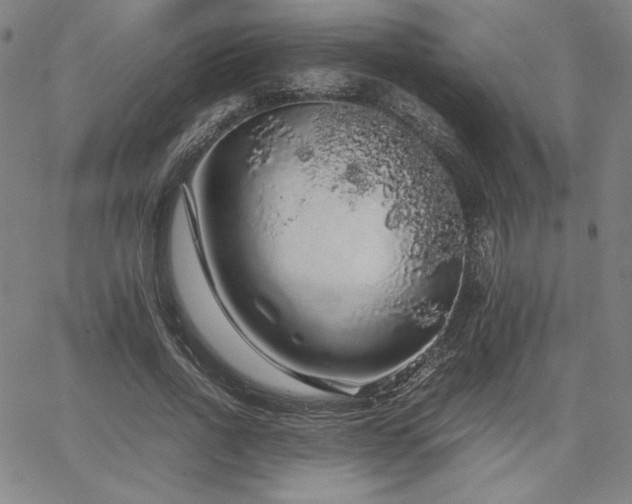 X0000067850734200604131250
